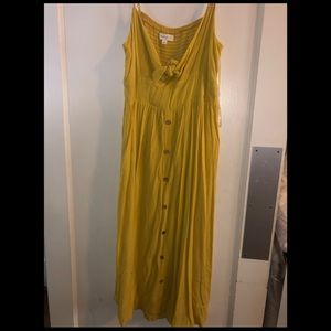 NWT Beach Dress